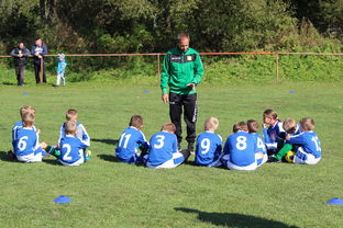 爱游戏体育在线-中国篮球联赛观众行为特征及营销策略,篮球比赛观众席视角